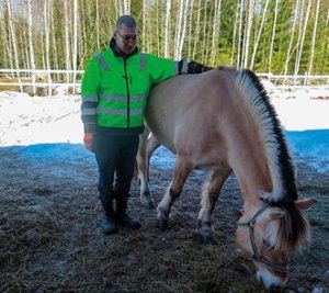 Teuvo Rytkönen ja hevonen.