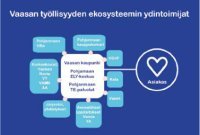 Kaavakuvio, jossa kuvataan Vaasan työllisyyden ekosysteemin ydintoimijat.